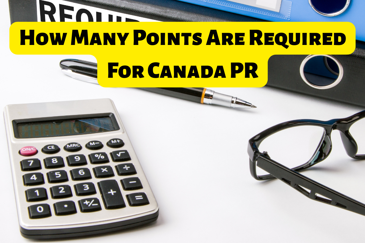 Read more about the article How Many Points Are Required For Canada PR – Improve Your CRS Score