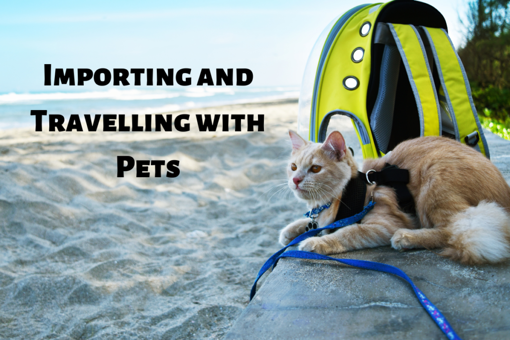 Importing and Travelling with Pets – How to Bring Your Pets to Canada: A Comprehensive Guide